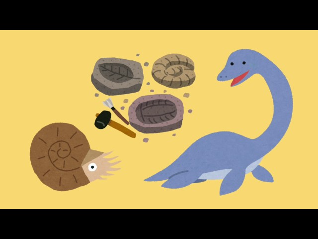 小平町の化石 - YouTube