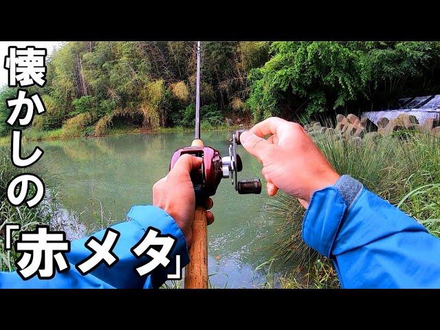 Bass Fishing] Dad goes fishing with his nostalgic red metal - YouTube