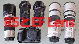 Canon EOS R5とEF Lens【手ぶれ補正フォーカスチェック】8K - YouTube