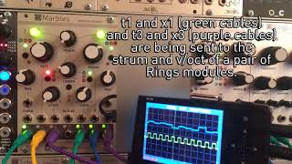 Mutable Instruments Marbles - Sampler | da NewGroove.it