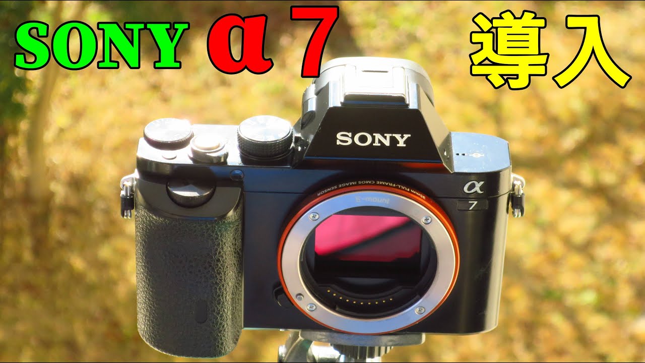 Used] SONY α7 110 yen lens operation test and sample images Full