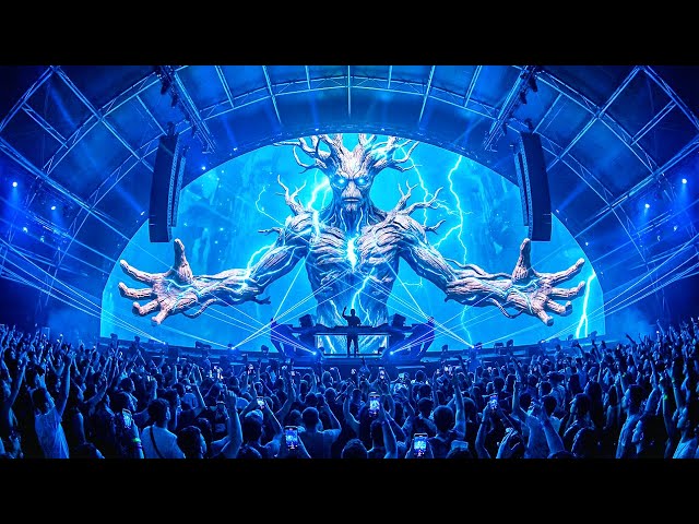 Tomorrowland 2026 | Afrojack vs Axwell | Epic Live Performance