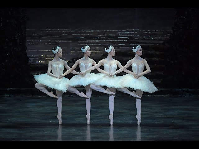 バレエ 白鳥と羽根・ティアラ12セット Yumiko Maekawa Tiara ティアラ