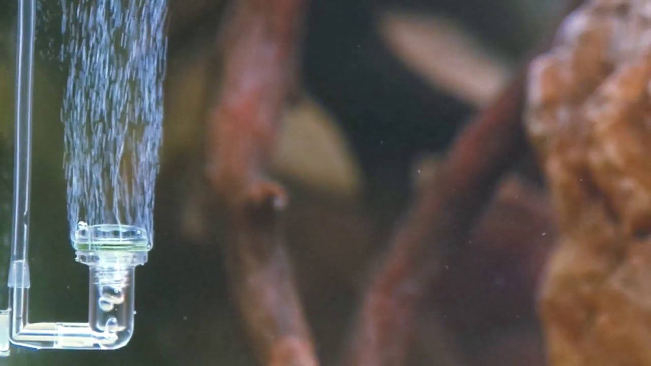 ziss｜LSS Laboratory