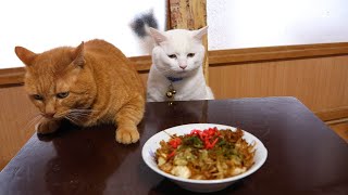 ちゃぶ台の上の焼きそば 260206 - YouTube