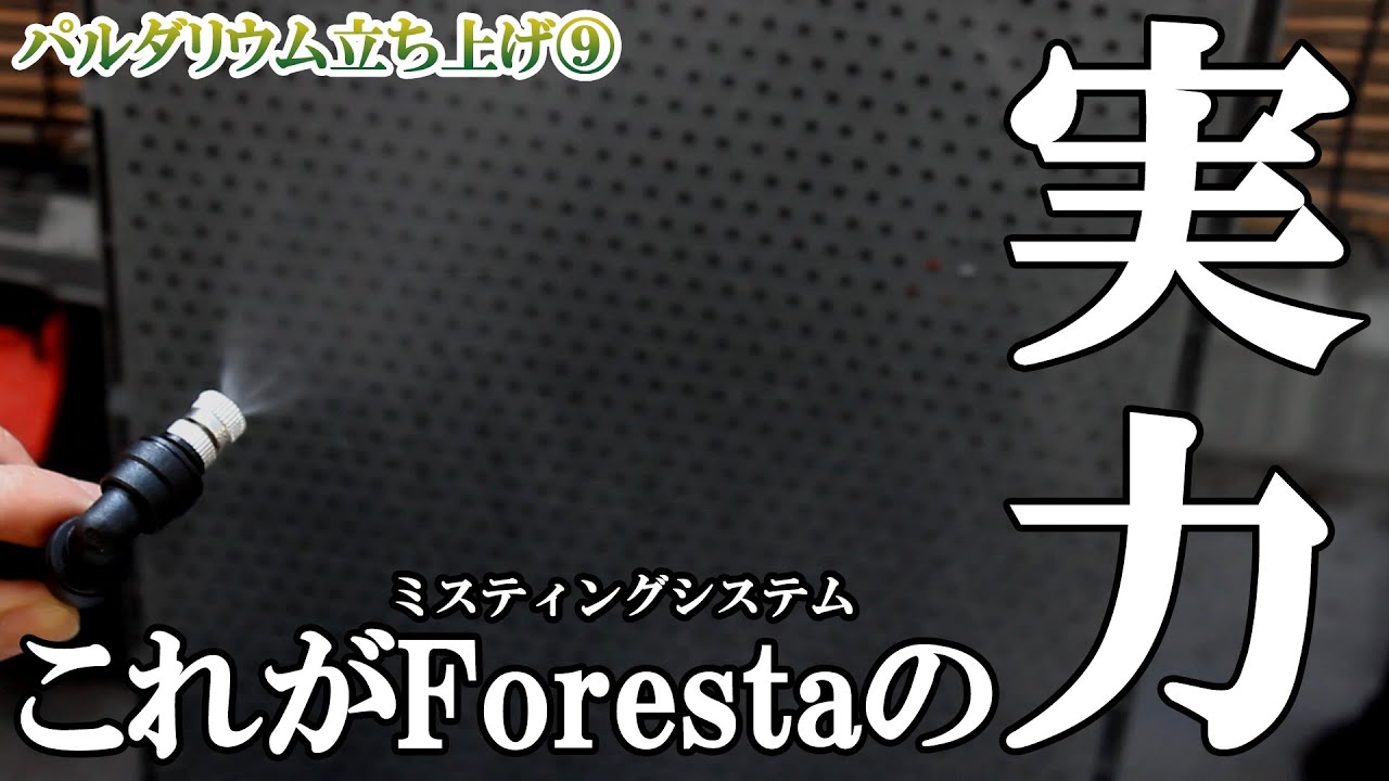 ミスティングシステムForestaフォレスタ開封＆テスト。実力は本物だっ