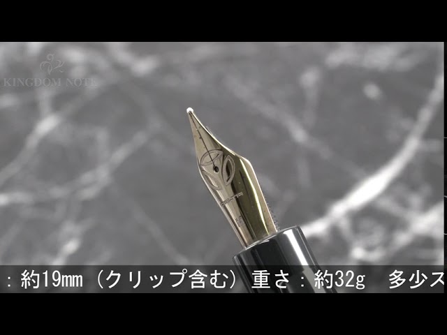 DELTA デルタ 万年筆 モモ・デザイン トルク ブラック・ガンメタル M