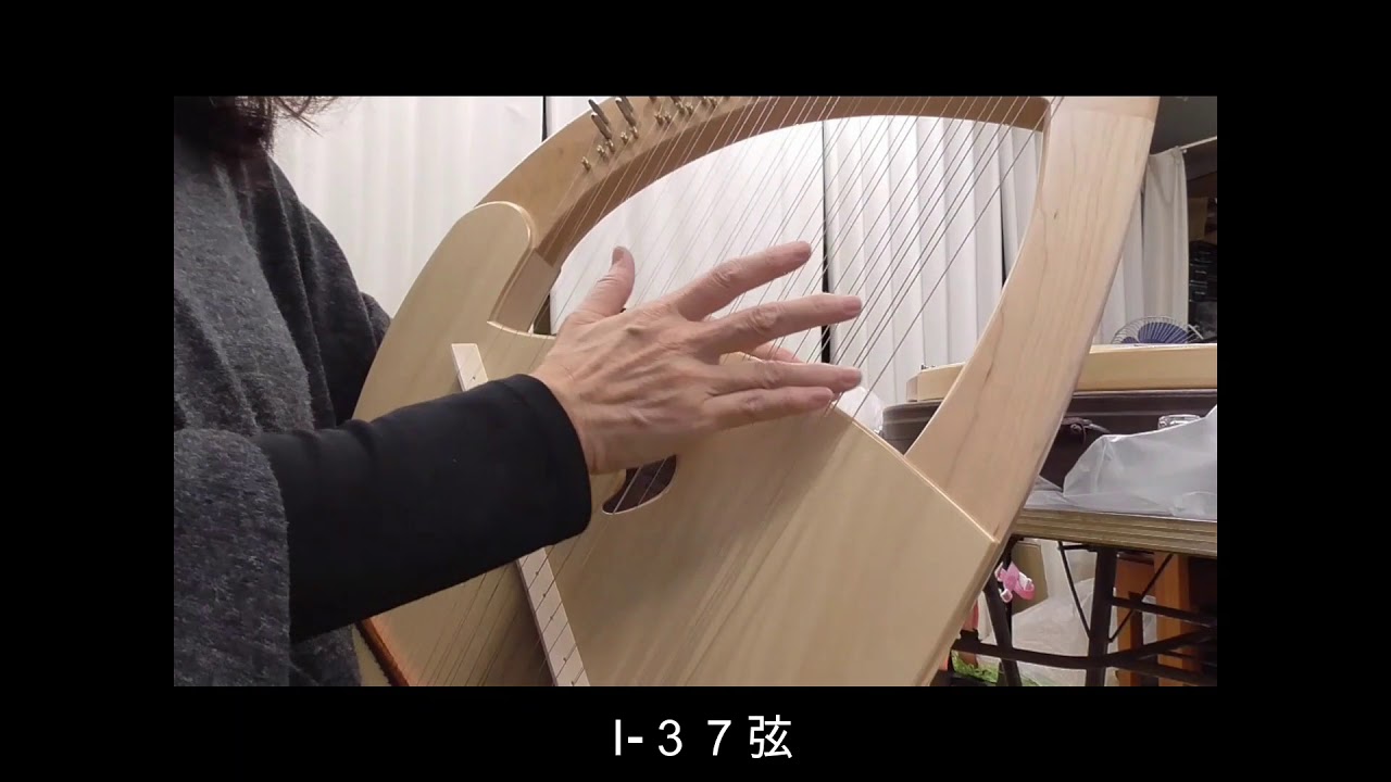 SANSOライアー (30弦)