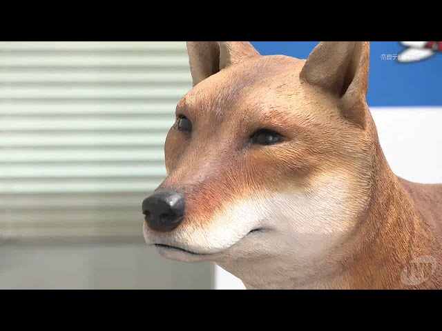 Excavated from the Makimuku ruins: Did Himiko touch it