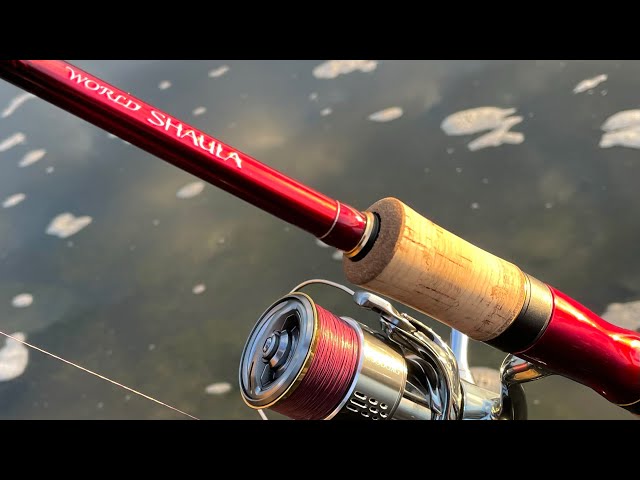 ワールドシャウラ2752Rｰ2は汎用性最強！ - YouTube