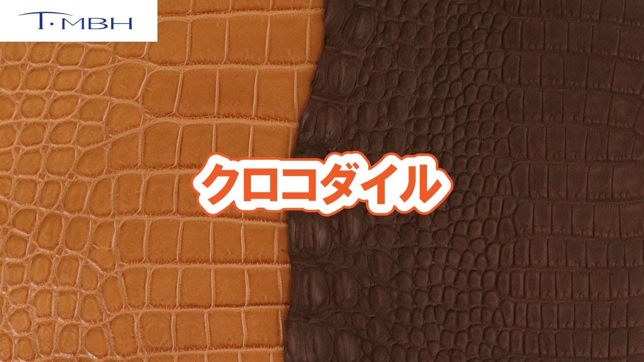 クロコダイル | TAKUYA MADE BY HAND