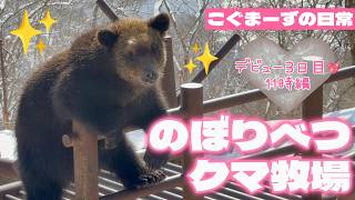 2026/02③] Kogumazu's Daily Life⭐︎Debut Day 3 11am Edition - YouTube