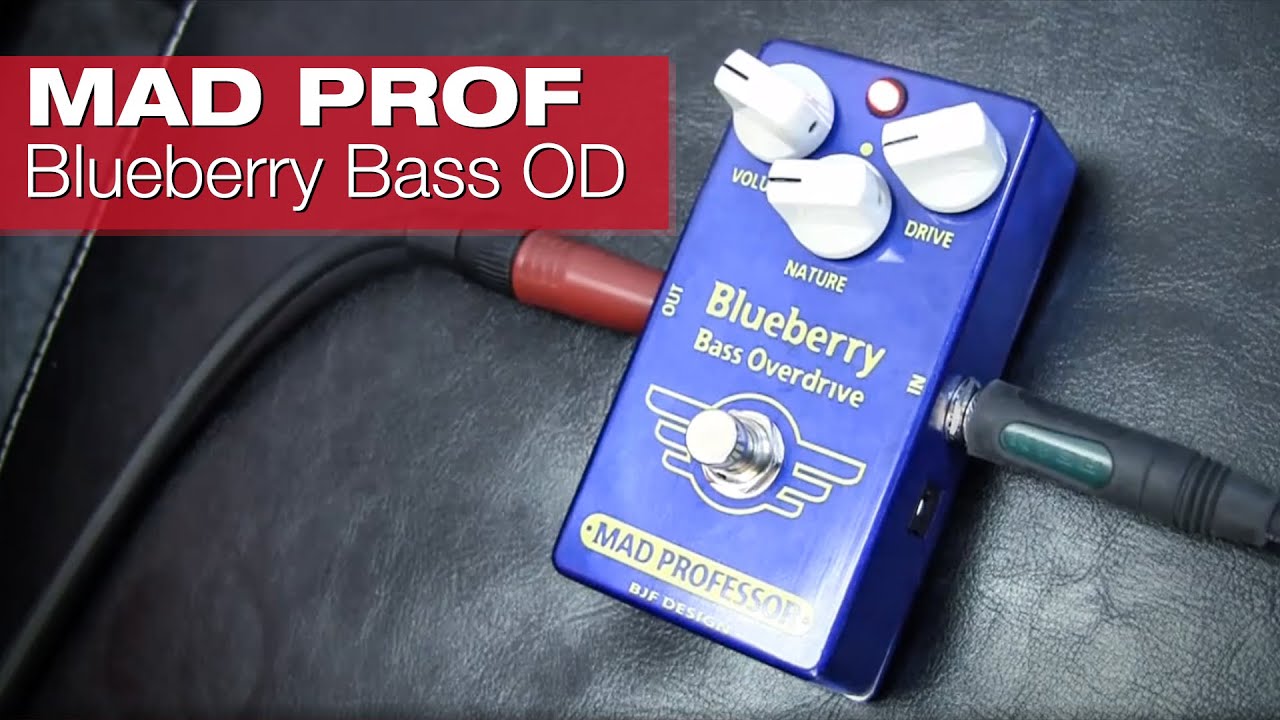 MAD PROFESSOR Blueberry Bass Overdrive - YouTube