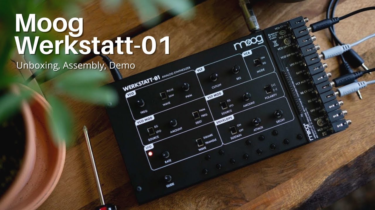 Moog Werkstatt-01 and CV Expander | Unboxing, Assembly, Patch