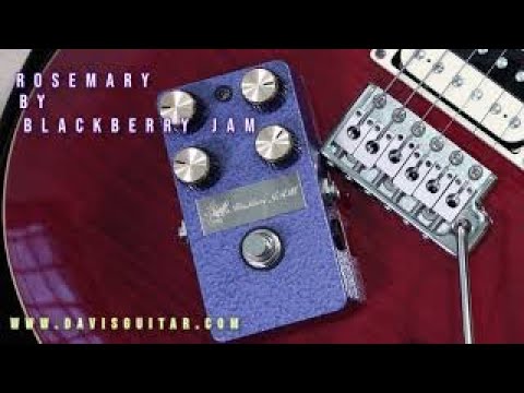 Rosemary Distortion Pedal By Blackberry JAM - YouTube