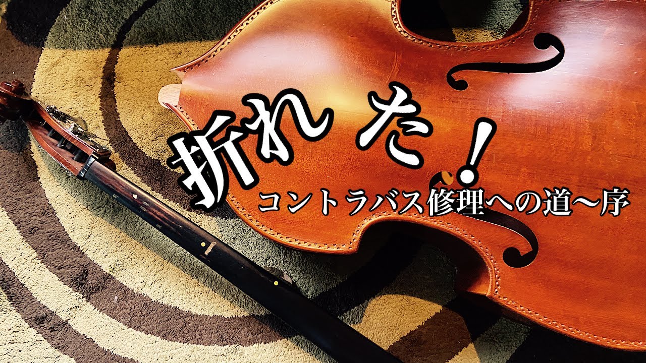 ポキッと折れたコントラバスを頂きました。。。のコントラバシストが