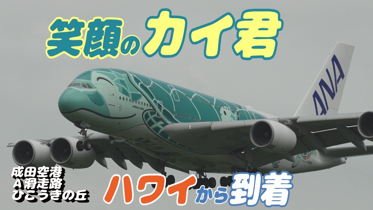 4K】成田空港 ひこうきの丘 全日空 超巨大旅客機 フライング・ホヌ