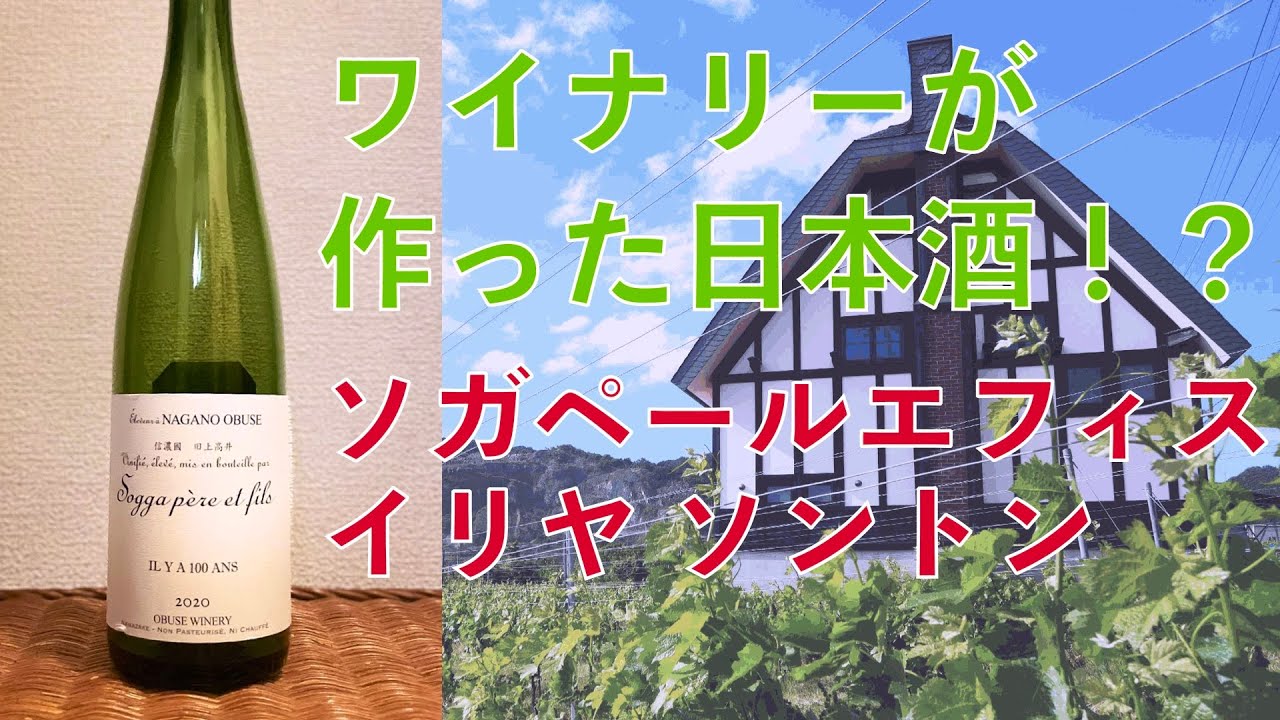 ワイナリーが作る希少酒】ソガペールエフィス イリヤソントン【日本酒
