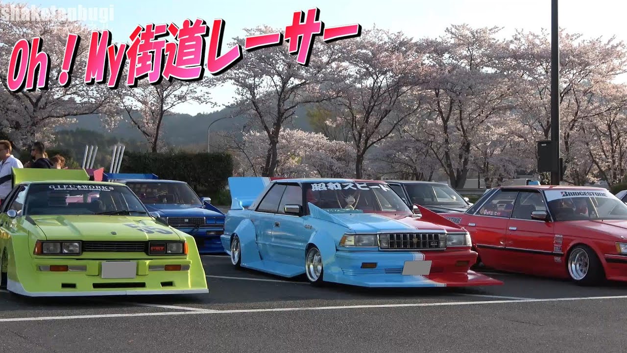某駐車場に、街道レーサー集結！ 桜とコラボ？ 【旧車 暴走族 不良