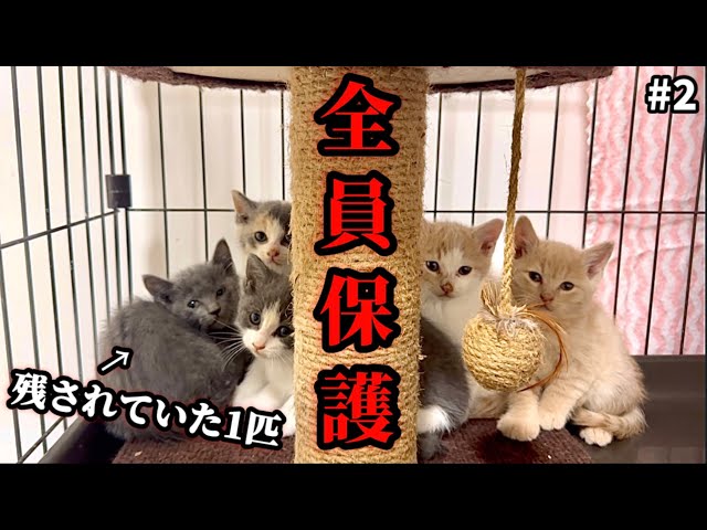 It must have been lonely