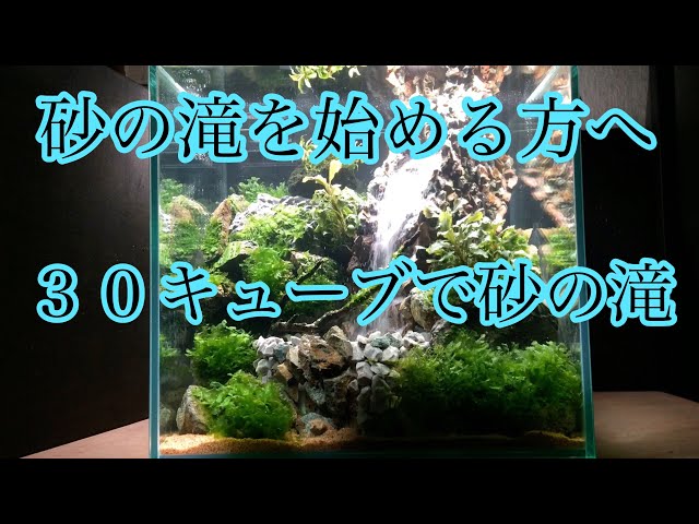 30キューブ水槽で砂の滝＃1【アクアリウム】 - YouTube