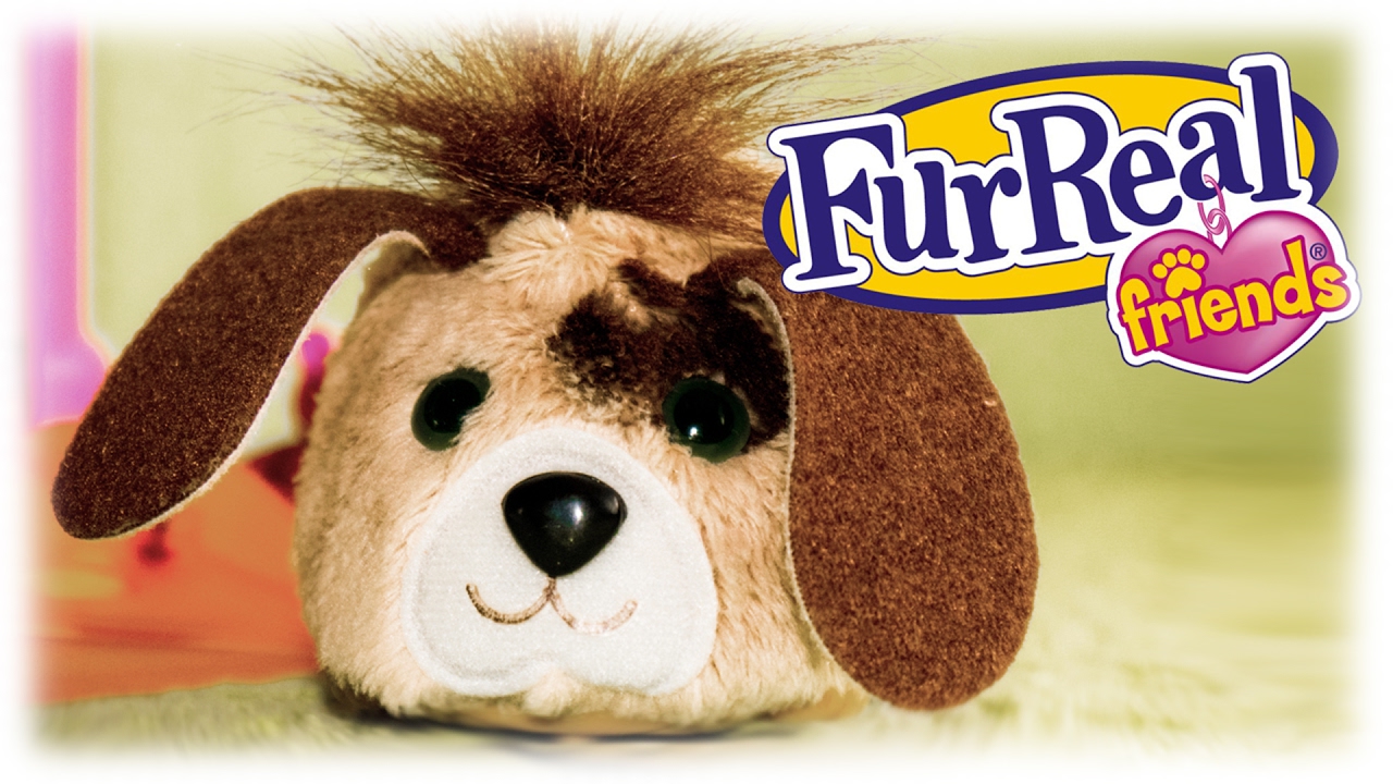 FurReal Friends Furry Frenzies Bumper McBones Dog House - YouTube