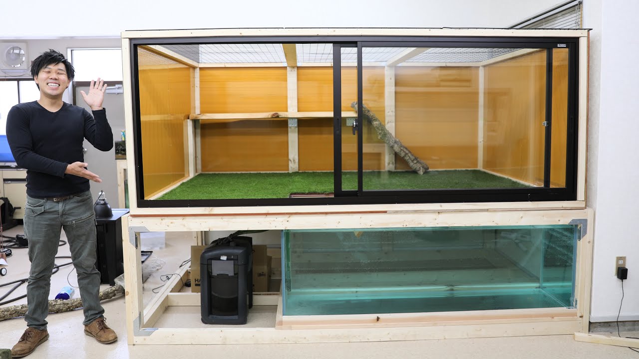 Set the interior of a super-large cage for keeping monitor lizard