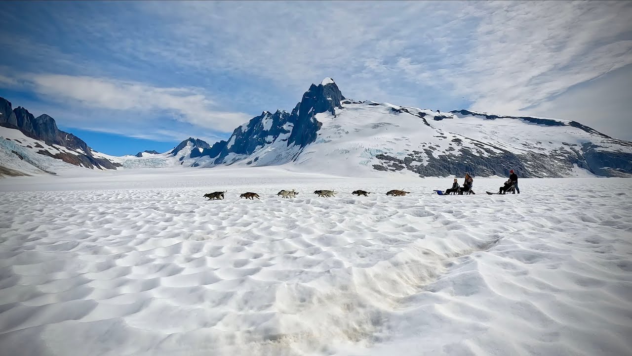Dog Sledding in Alaska on a Glacier! The Mendenhall Glacier