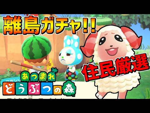 あつ森】ちゃちゃまる狙い!?住民厳選!!離島ガチャ!!【あつまれどうぶつ