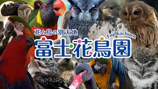 富士花鳥園 | 花と鳥の別天地
