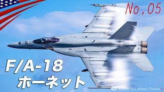 Miraculous Revival Story [F/A-18 Hornet / The Masterpiece of