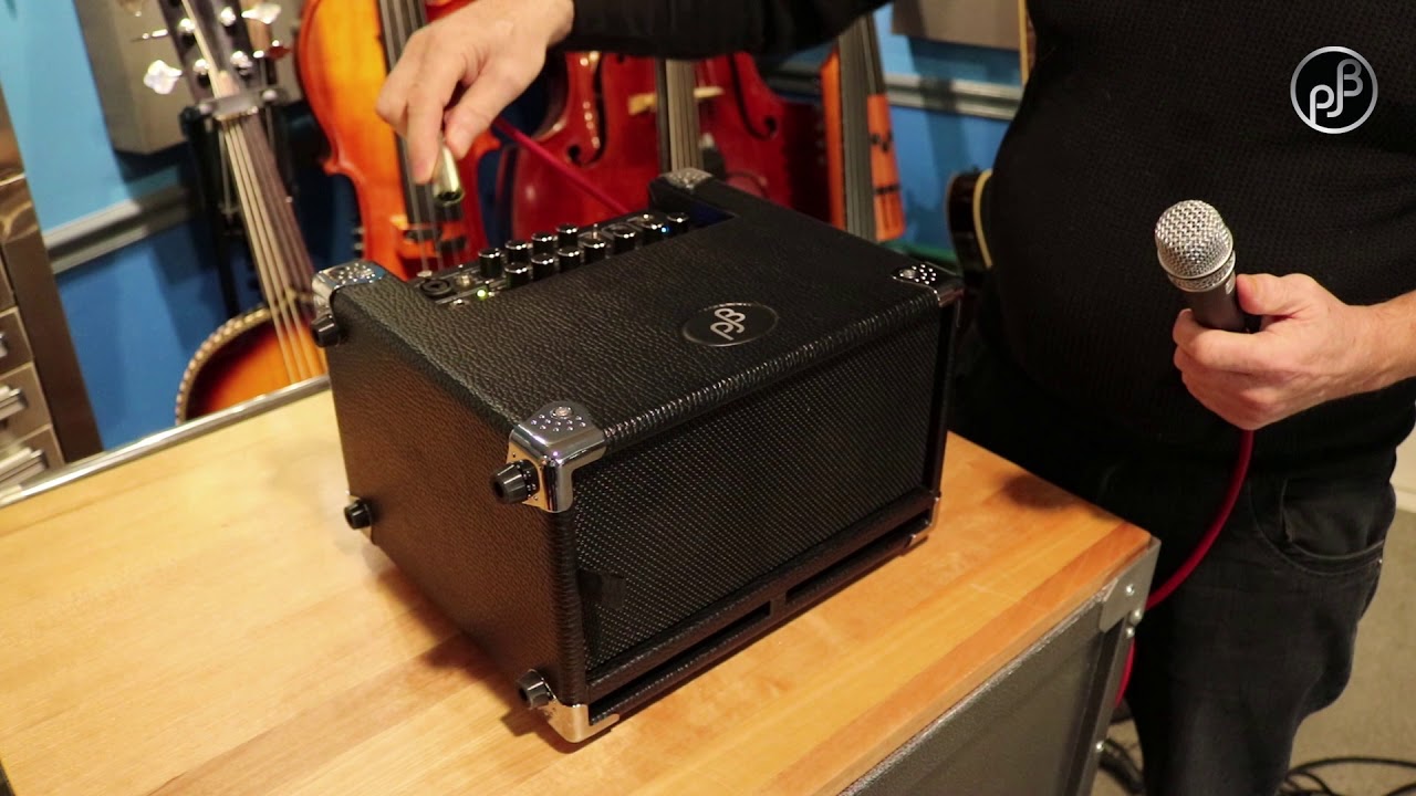 CHILL WITH PHIL: The PJB Bass Cub (BG-100) - YouTube