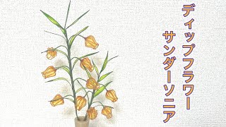 423 #I tried making a dipped flower, Sandersonia. #DipArt