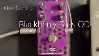 One Control “Blackberry Bass OD”と、位相のお話。 - YouTube