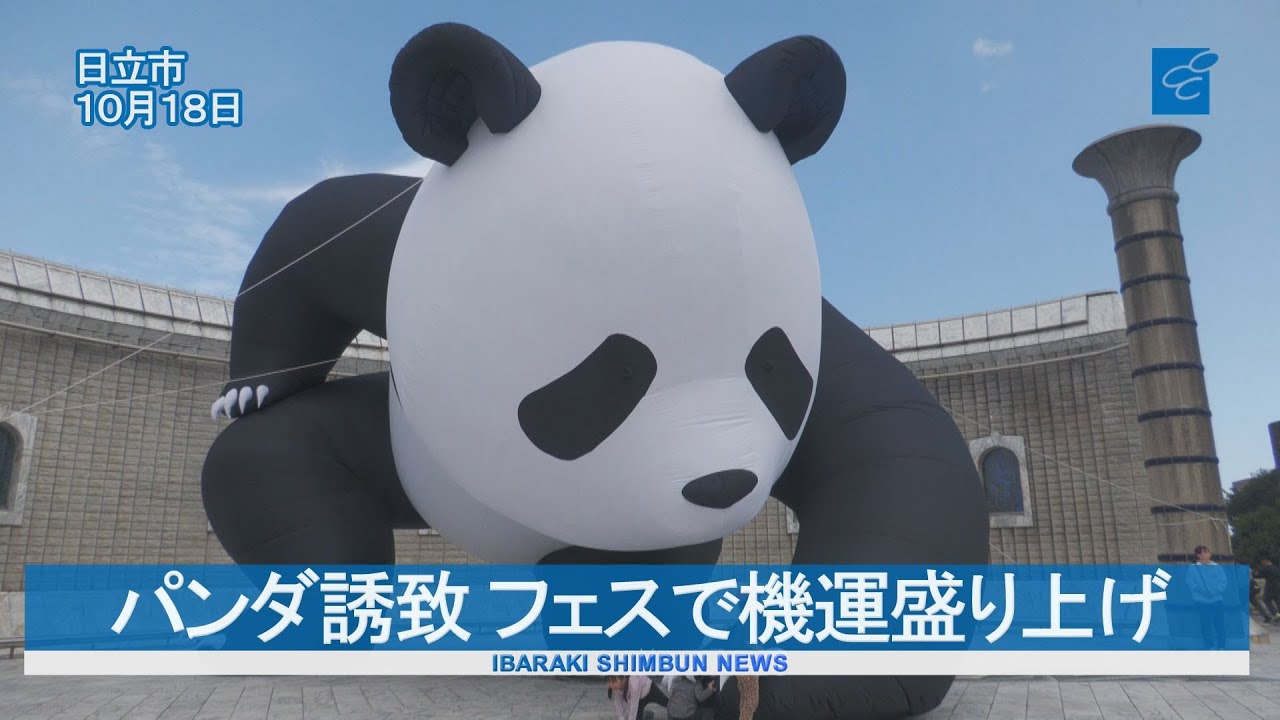 パンダ誘致 フェスで機運盛り上げ 日立で「第3回パンダフェス」 - YouTube