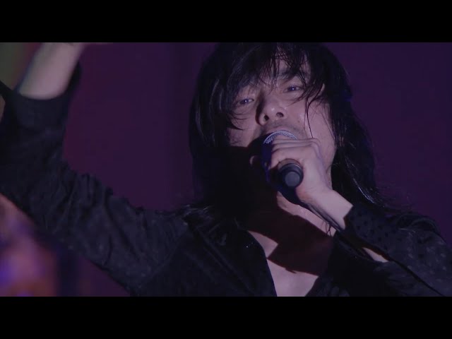 宮本浩次 -「冬の花」~「Do you remember?」（アルバム『宮本、独歩