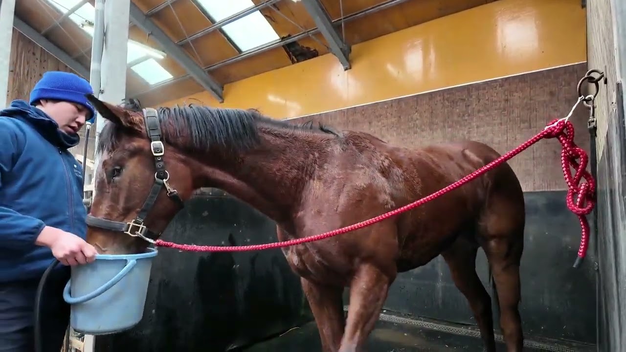 My Gift to You Fuku-chan #623 - YouTube