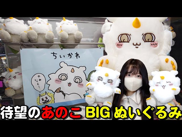 ちいかわ】公式グッズと変わらない。待望の激アツプライズ！ - YouTube
