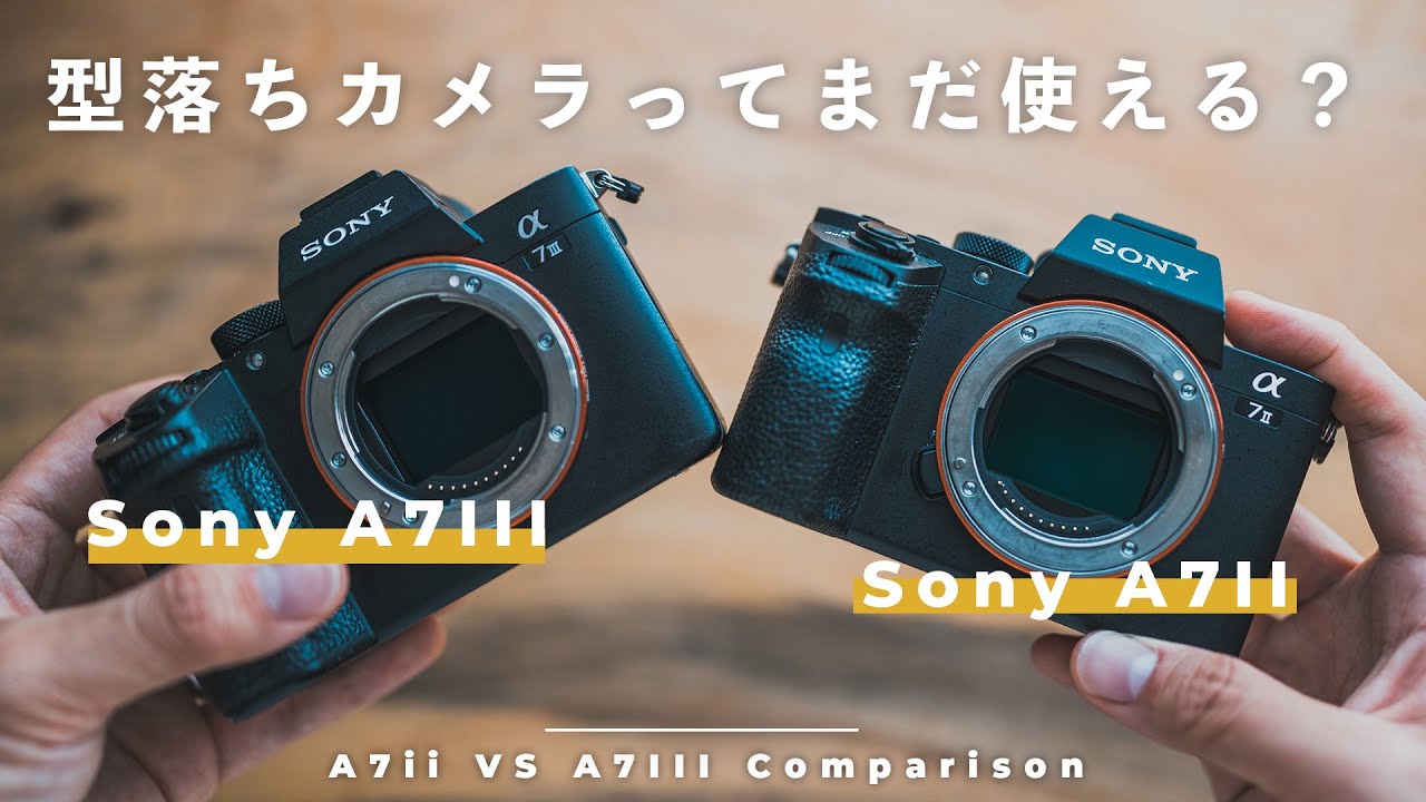 Sony α7II VS α7III】型落ちカメラってまだ使えるの？【結論：写真だけ
