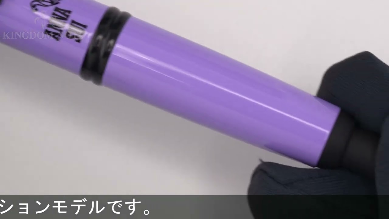 PILOT パイロット 万年筆 キャップレス 2024年限定 ANNA SUI