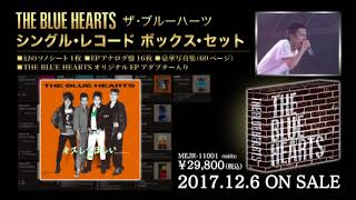 THE BLUE HEARTS「シングル・レコード ボックス・セット」ダイジェスト