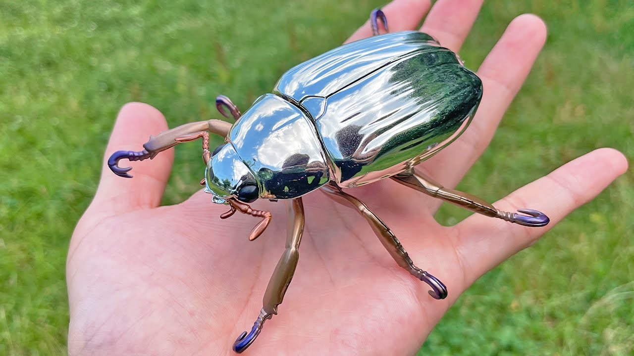 プラチナコガネ2種 ラベル無し プラチナコガネ2種 ラベル無し プラチナ