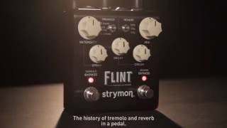 エフェクター】strymon FLINT Black Knob Edition｜人気のリバーブ