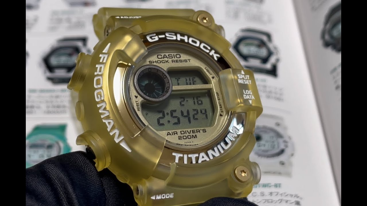 DW-8201WC-9T （1998） Back cover mirror finished！ Module number