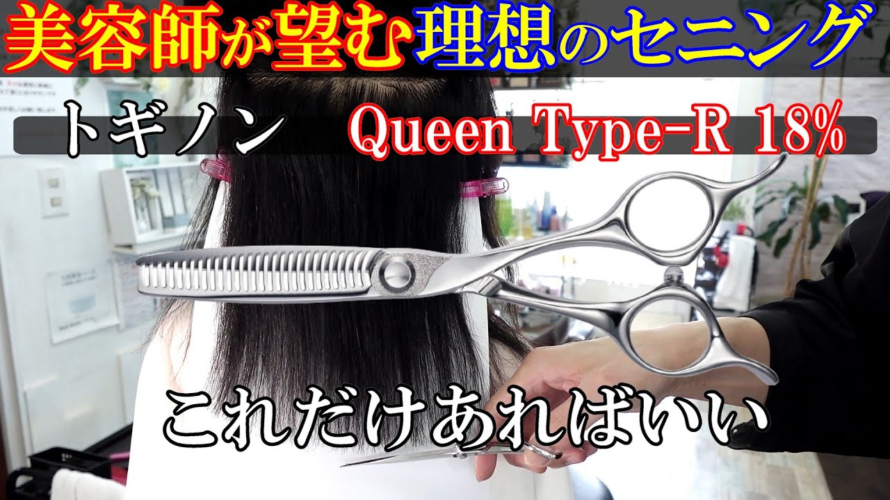 超ハイスペック セニング トギノン ダイナザウルス 70％セニングの