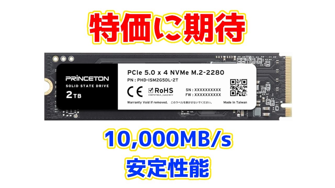 The Princeton Gen5 SSD I bought during the New Year's sale was