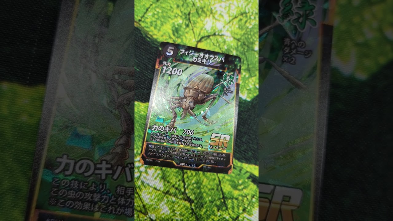 蟲神器】フィジーオオウスバカミキリ(SR)の詳細【昆虫カード図鑑】