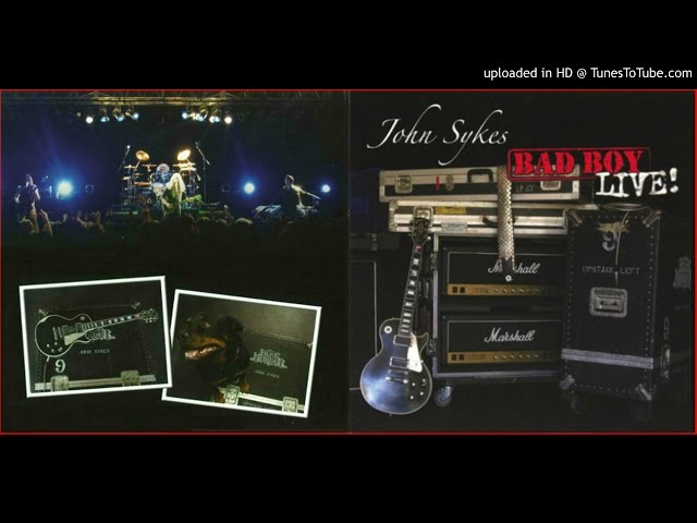 JOHN SYKES ~ Crying In The Rain - YouTube