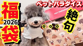 福袋2026】もう買わないかも💦ペットパラダイスの大人気福袋の中身は