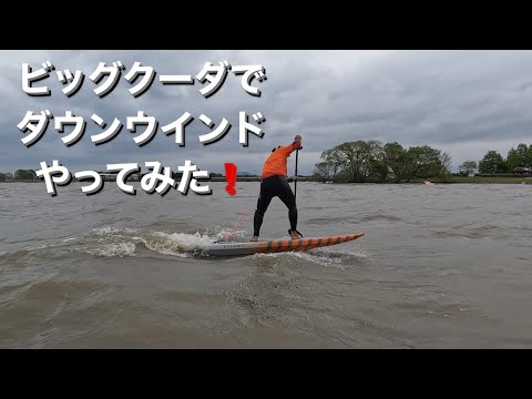 バラクーダ最大サイズのBIG CUDA 大 8'7